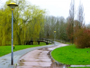 CP Lente 002