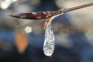 DH Winter 101