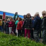 Groep 1&2 Mozaiek 017 (800x533)