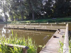 JF Zomer 001